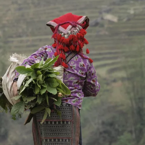 Couleurs et saveurs d’Indochine Visuel